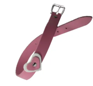 Zgarda Caine Streetside Inima 1.6/40 cm Roz Nr 1