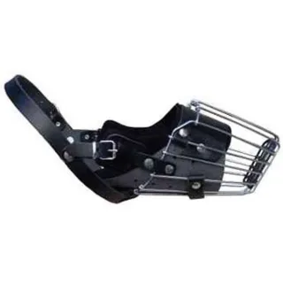 Dingo Botnita Metal Pitbull 4159