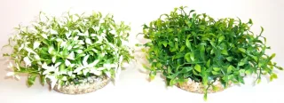Sydeco Plante Water Bowl Maxi 10cm 135