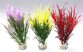 Sydeco Plante Sea Grass Baby 16cm 646
