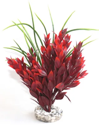 Sydeco Planta Red Ruscus Large 25 Cm 667
