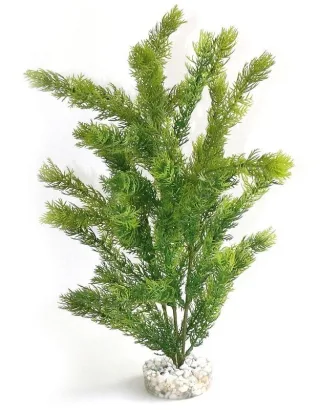 Sydeco Planta Sea Pearl 35 Cm 658