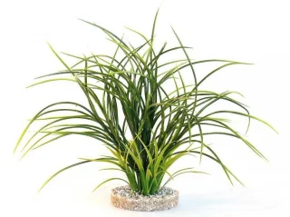 Sydeco Planta Fan Grass 38 Cm 349607