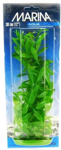Marina Plante Hygrophila 30 cm PP1213