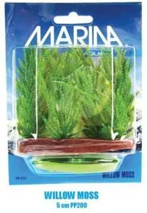 Marina Plante Willow Moss 5 cm PP200