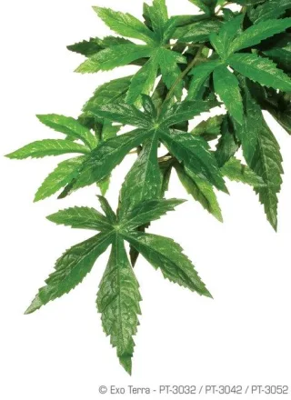 EXO TERRA PLANTA ABUTILON SMALL 40 CM PT3032