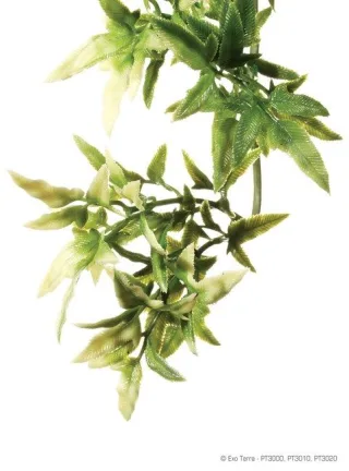 Exo Terra Planta Croton Small40 cm PT3000