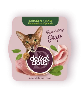 Delickcious Pisica Plic Supa Pui Cu Sunca Si Spanac 80 g