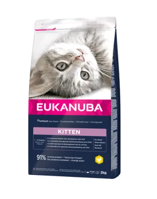 EUKANUBA Cat Kitten All Breeds Healthy Start Chicken &amp; Liver Hrana uscata pentru pisici junior, cu pui si ficat 2 kg