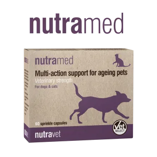 Nutramed – sprijin veterinar cu acțiune multiplă pentru animalele de companie în vârstă