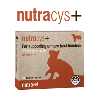 Nutracys + - 20 Capsule ( NUTRAEASE)