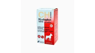 Hyalophyt MSM Medium supliment articulatii 120 comprimate