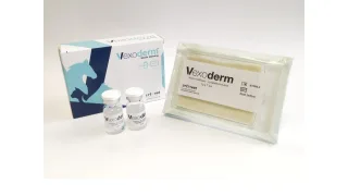 VEXODERM - PANSAMENT DE PLAGA 10 x 7 CM