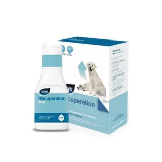 Viyo Recuperation Dog: supliment nutrițional pentru recuperare, 150 ml