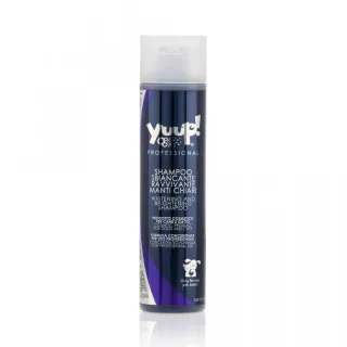 Sampon Yuup Professional White - 250ml