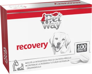 Petway Recovery - 100 Tablete