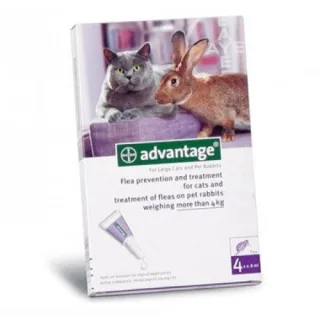 Advantage Pisica/Iepure 80 Peste 4 Kg, Cutie cu 4 pipete