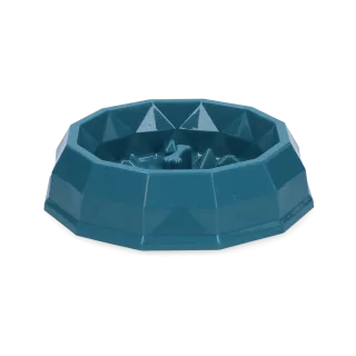 Pawise Slow Feeding Bowl