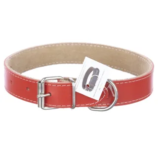 Zgarda din piele, rosie, pentru caini de talie medie, 3 cm x 60 cm
