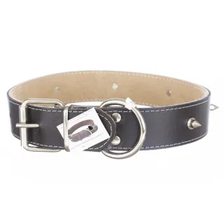 Zgarda pentru câini: piele naturală de vițel, 4 cm x 65 cm, ornamente colți metalici