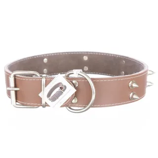 Zgarda din piele, maro, cu 2 randuri de colti metalici, 4 cm x 65 cm