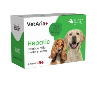 Supliment hepatic pentru caini de talie medie si mare VetAria+ Hepatic, 30 capsule, twist-off
