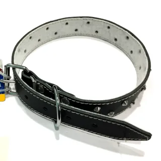 Zgarda din piele, neagra, cu tinte, 30 mm x 640 mm