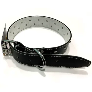 Zgarda din piele, neagra, cu tinte, reglabila, 40 mm x 700 mm