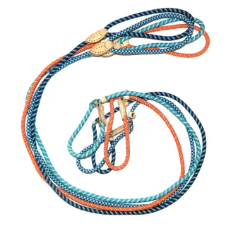 Lesa cordelina cu zgarda reglabila pentru caini de talie mica, neagra, piele naturala, lungime 1.45 m, diametru 12 mm