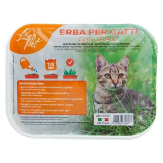 Iarba pisicii 100 g