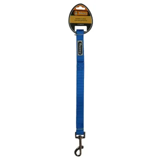 Lesa textila, albastra, pentru caini de talie medie, latime 20 mm, lungime 1.2 m