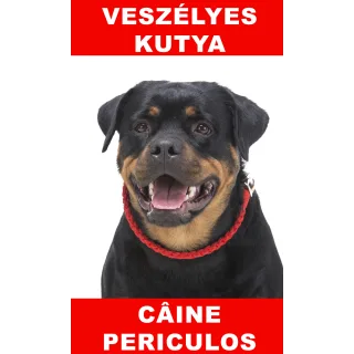 Indicator caine periculos Rottweiler Bilingvă