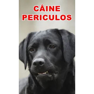 Indicator caine periculos Retriever Negru
