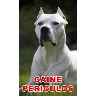 Indicator caine periculos Dog Argentinian
