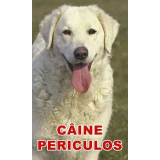 Indicator caine periculos Kuvasz