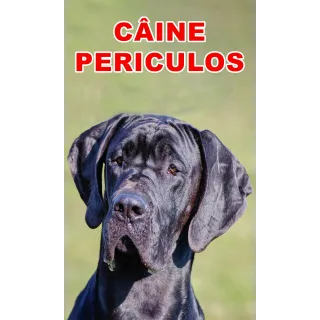 Indicator caine periculos Dog German