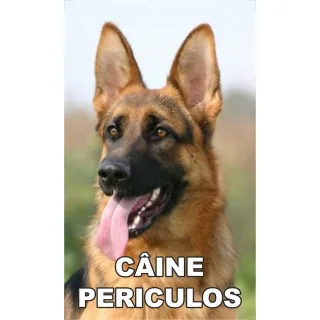 Indicator caine periculos Ciobanesc German