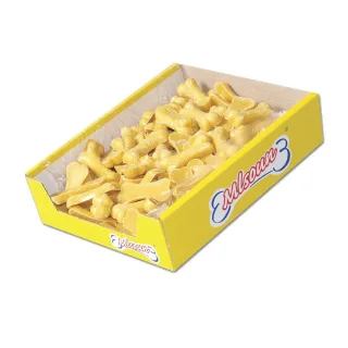 Ciocolată pentru câini, formă os: 90 bucăți