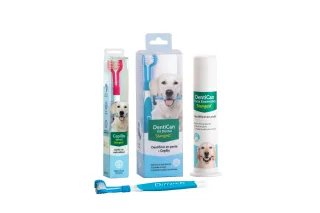 Kit Dental Periuta + Pasta de dint 100 g Dentican, Stangest