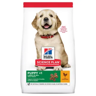 Hills SP CANINE PUPPY LB CHK, hrana uscata pentru caini juniori de talie mare, cu pui, 14.5 KG