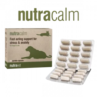 Nutravet Nutracalm supliment alimentar pentru câini și pisici 15 capsule: cu L-triptofan și GABA