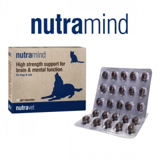 Nutravet Nutramind Sprijin pentru Sanatatea Creierului Caini si Pisici 45 Capsule