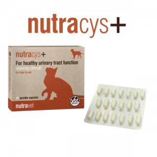 Nutravet Nutracys+ Supliment tract urinar câini și pisici: 20 capsule, formulă triplă acțiune