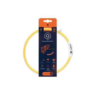 10855699 FLASH LED rechargeable collar M Orange