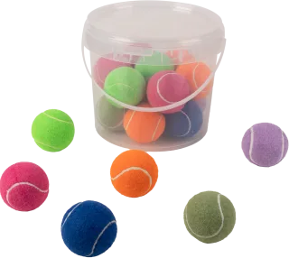 Pawise Hard Tennis Ball Set 20 Buc