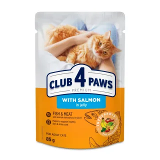 Club 4 Paws Cat - Hrana umeda premium - Somon in Jeleu - 85g