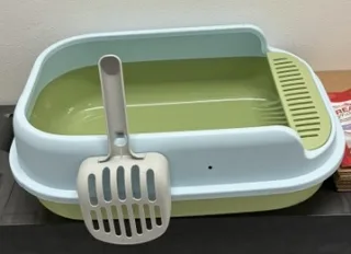 Litiera pentru pisici, cu margine inalta si paleta 48 x 30 x 17 cm, verde