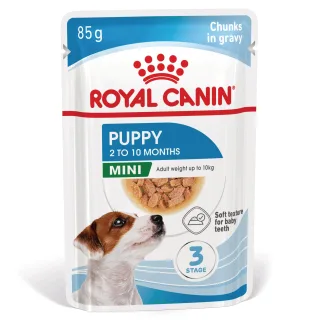 ROYAL CANIN Mini Puppy, hrană umedă câini junior, (în sos), 85g