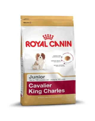 ROYAL CANIN Cavalier King Charles Junior Hrana uscata catel rasa Cavalier King Charles 1,5 kg