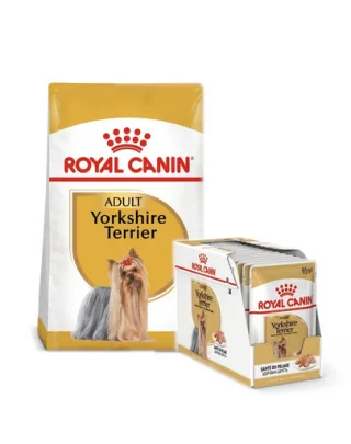 ROYAL CANIN Yorkshire Terrier Adult 7.5 kg hrană uscată + hrană umedă 12 x 85g